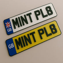 Load image into Gallery viewer, Short Reg Plates Pair